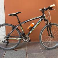 Mountain bike Bottecchia