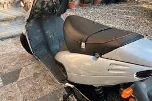 F12 100 cc phantom