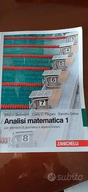 Analisi matematica 1 isbn 97788808254214