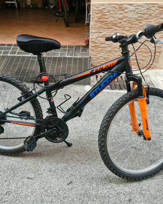 bicicletta bimbo 24
