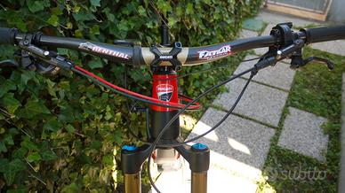 E_Bike Thok Mig-RR Ducati