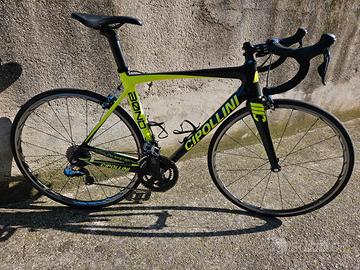 CIPOLLINI BOND
