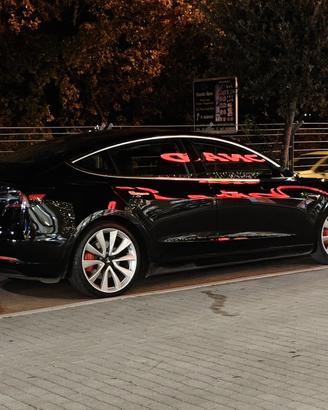 Tesla Model 3 Performance