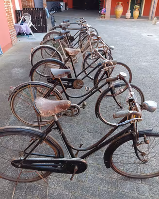 bici d'epoca uomo donna a bacchetta 