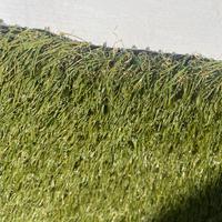 Tappetto erba sintetica