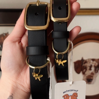 Set collare e guinzaglio per cane impermeabili
