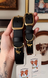 Set collare e guinzaglio per cane impermeabili