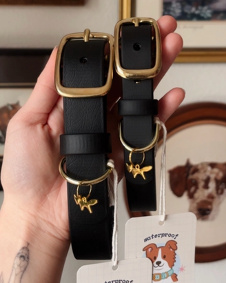 Set collare e guinzaglio per cane impermeabili