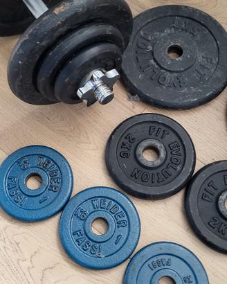 pesi palestra dischi in ghisa 