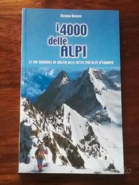 i 4000 delle alpi di Richard Goedeke