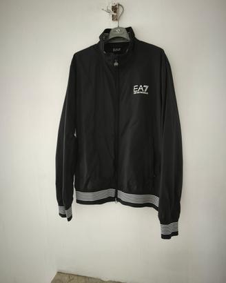 Giubbino