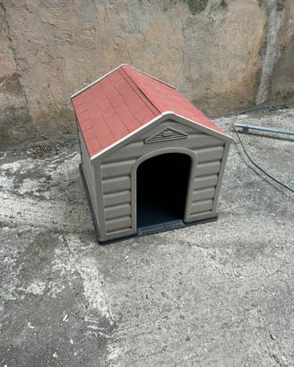 CUCCIA CANI