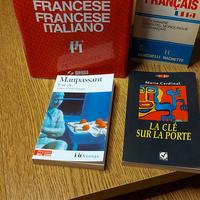 dizionario francese +monolingue tascabile +2libri