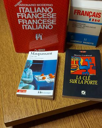 dizionario francese +monolingue tascabile +2libri