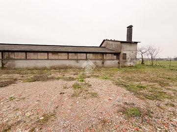 CAPANNONE A ALFIANELLO