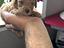 Immagine 1