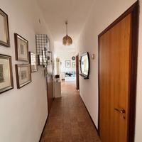 Casa ginosa marina