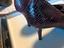 Immagine 3