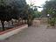 Immagine 5
