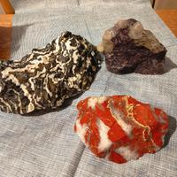 pietre per arredare l'acquario 