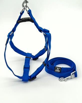 Pettorina con guinzaglio per cuccioli e cani blu