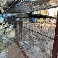 Gabbia per conigli 8 posti