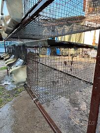 Gabbia per conigli 8 posti