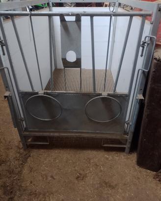 Box vitelli