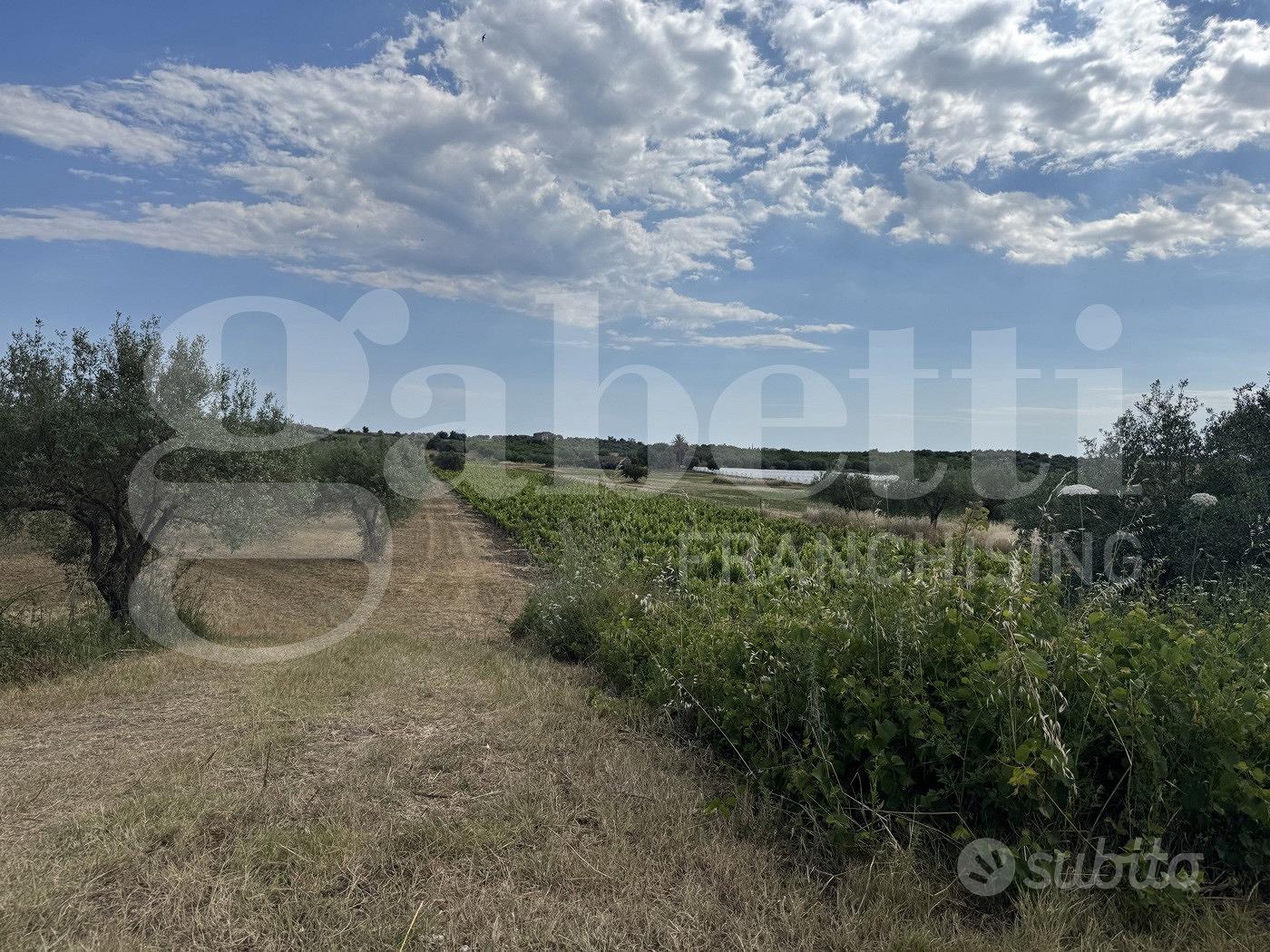 Terreno Agricolo Noto [Cod. rif 3321587VCG] - Altro