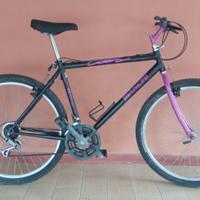 Mountain bike Bianchi Cobra Shimano sganci rapidi