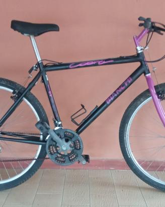 Mountain bike Bianchi Cobra Shimano sganci rapidi