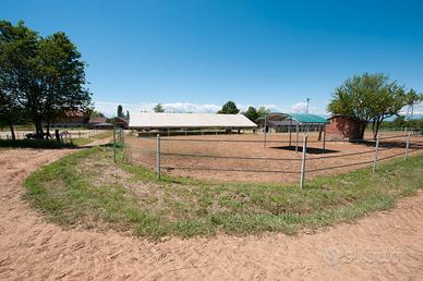 Centro ippico, maneggio, azienda agricola
