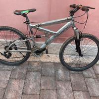 Bici alluminio