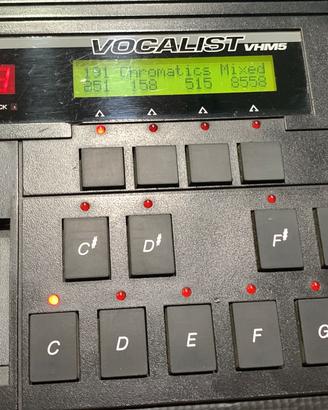 Provessore vocale VHM5 vocalist armonizer Digitech