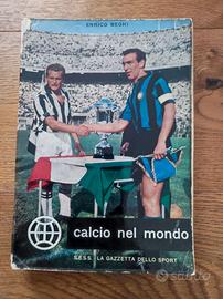 Calcio nel mondo, Enrico Beghi