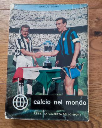 Calcio nel mondo, Enrico Beghi