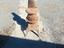 Immagine 2