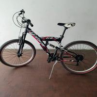 Bicicletta Trubbiani Flash