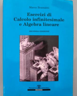 Esercizi di Calcolo Infinitesimale - Bramanti