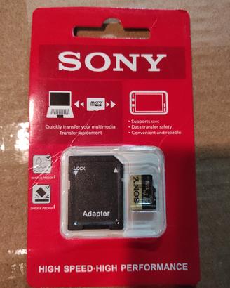 micro SD  SONY con adattatore   1 TB