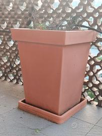 Fioriere Cassette/vasi  per fiori