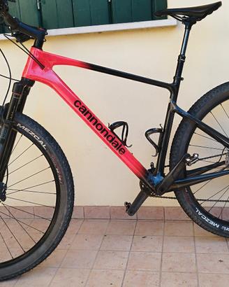 MTB TG.L