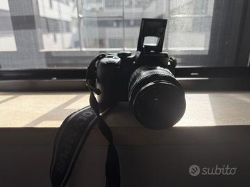 Olympus E-500 Dual Zoom con borsa