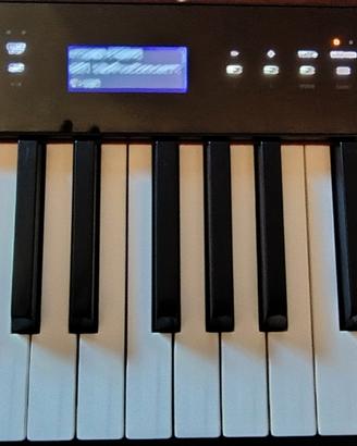 Pianoforte digitale Casio Px-s3100