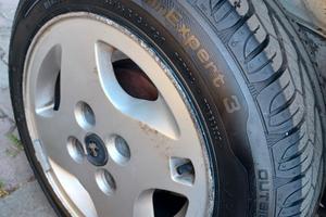 fiat panda hobby