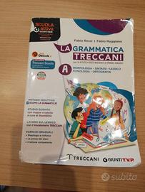 la grammatica treccani A 978880989180