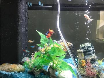 Acquario completo 65L con accessori