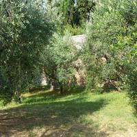 Terreni con regolare annesso agricolo