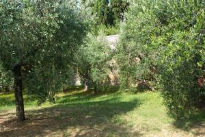 Terreni con regolare annesso agricolo