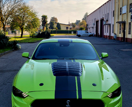 Ford mustang 5.0 gt 460cv allestimento shelby